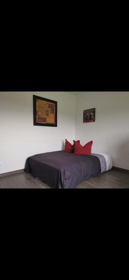 Chez Manu Apartment Voellerdingen ภายนอก รูปภาพ
