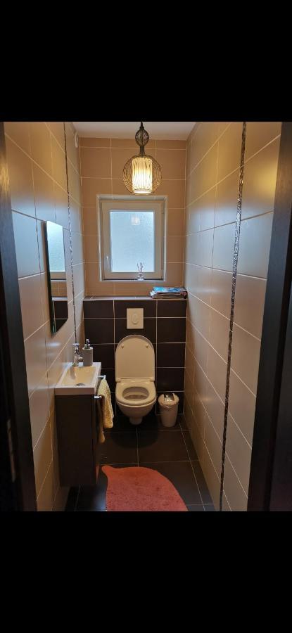 Chez Manu Apartment Voellerdingen ภายนอก รูปภาพ