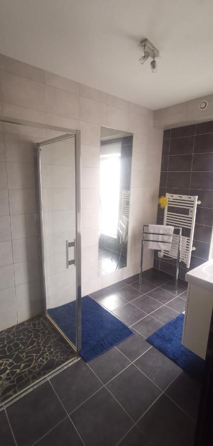 Chez Manu Apartment Voellerdingen ภายนอก รูปภาพ