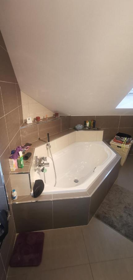 Chez Manu Apartment Voellerdingen ภายนอก รูปภาพ