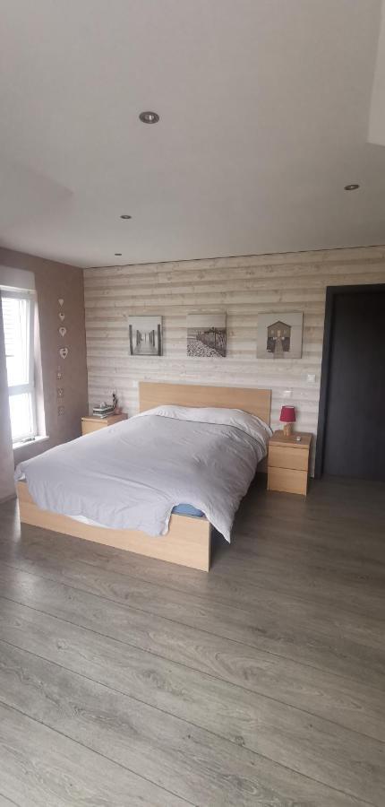 Chez Manu Apartment Voellerdingen ภายนอก รูปภาพ