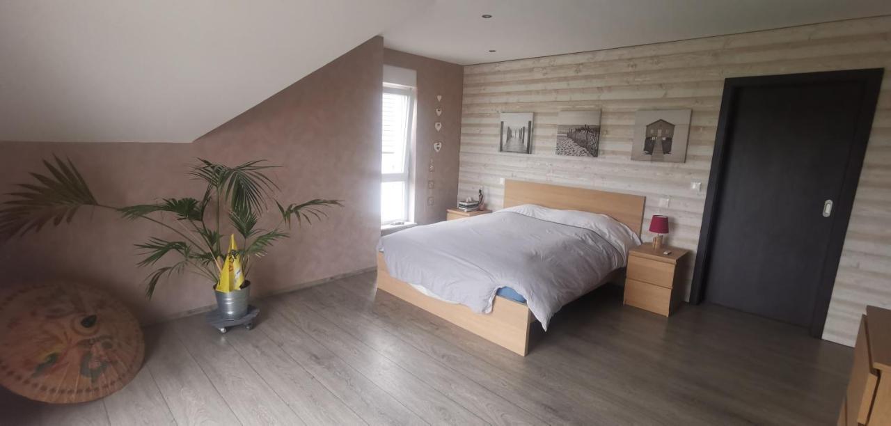 Chez Manu Apartment Voellerdingen ภายนอก รูปภาพ